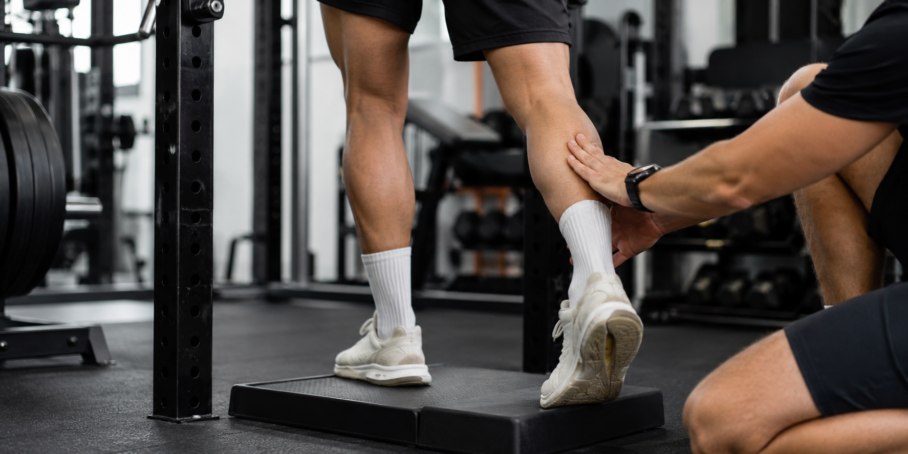 exercícios para tendinopatia