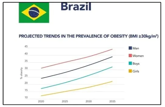 obesidade no Brasil