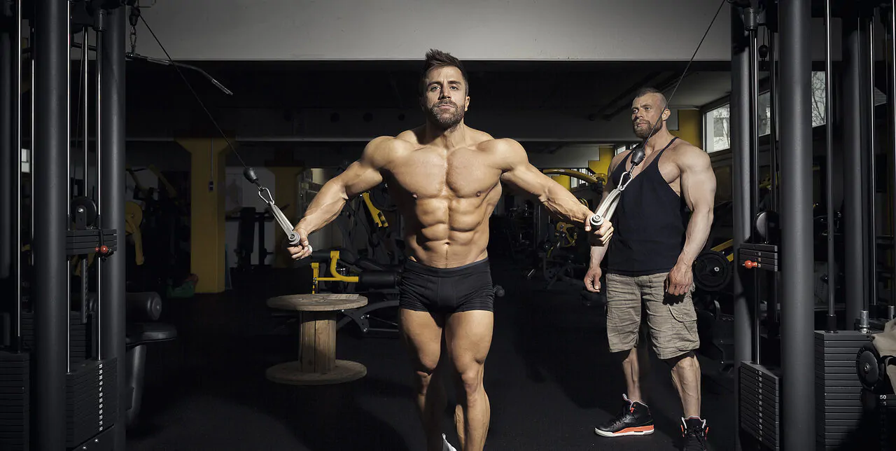 bodybuilder